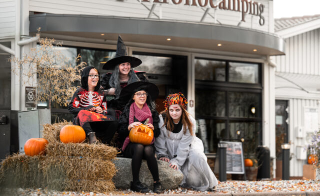 Kronocamping Lidköping, foto 4